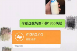 平安专业讨债公司，追讨消失的老赖